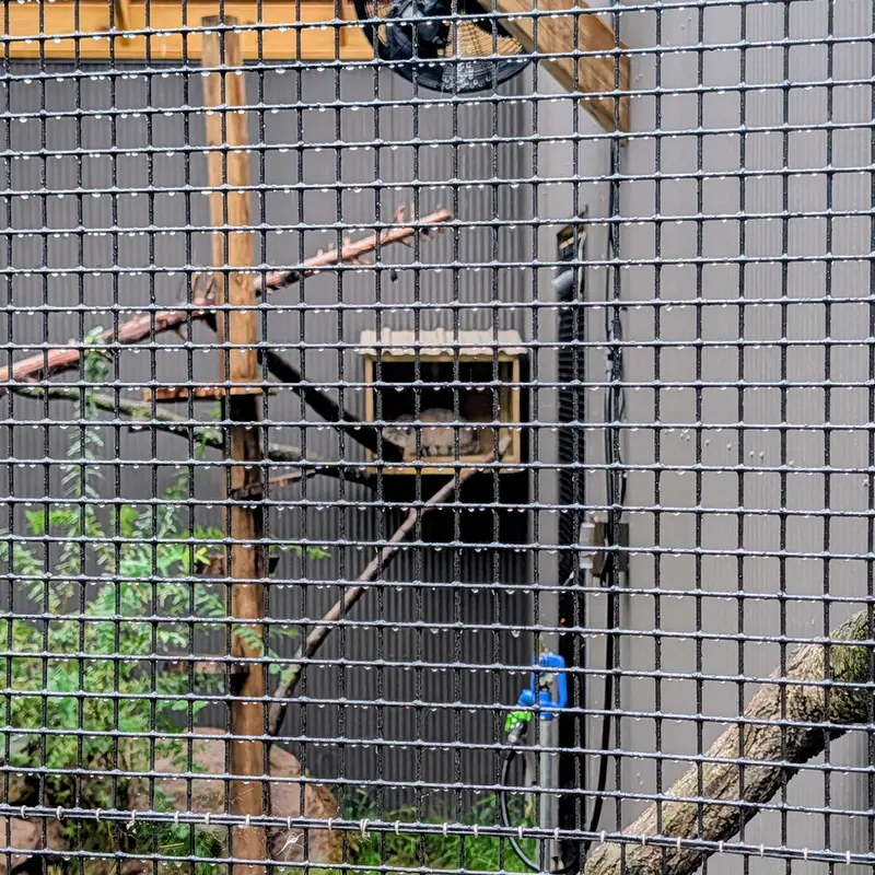 エルムウッド・パーク動物園のカスパーの写真