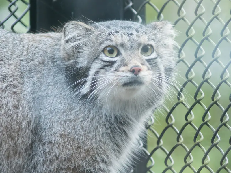 埼玉県こども動物自然公園のオトの写真