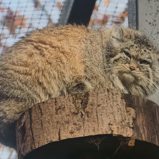 グダニスク動物園のウラの写真