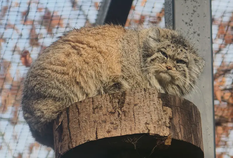 グダニスク動物園のウラの写真