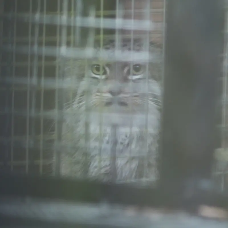 埼玉県こども動物自然公園のオリーヴァの写真