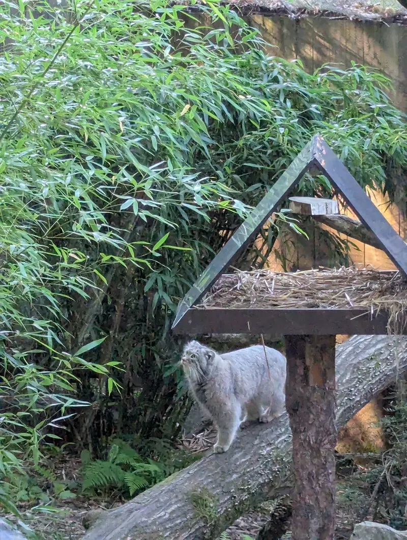 トレゴムール動物園のアルタイの写真