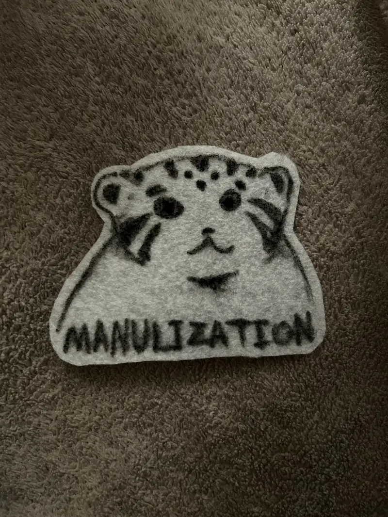 マヌルネコの写真