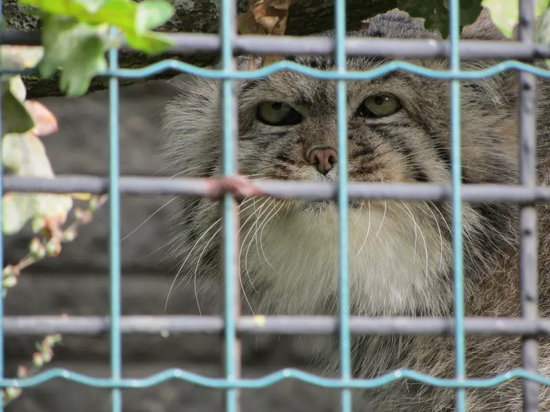 マクデブルク動物園のジョナサンの写真