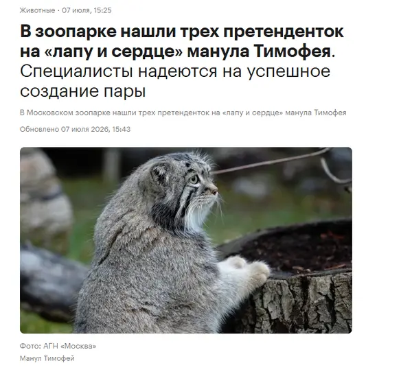 モスクワ動物園のティモフェイの写真