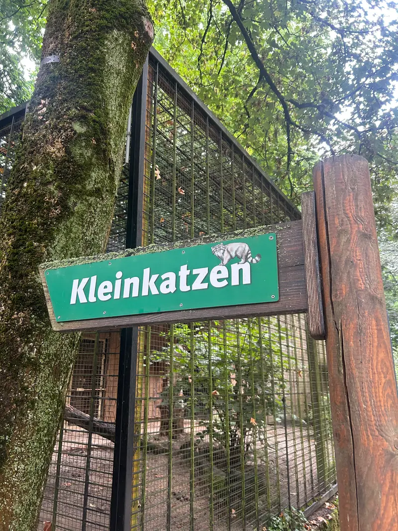 chemnitz zoo visit 🐾
