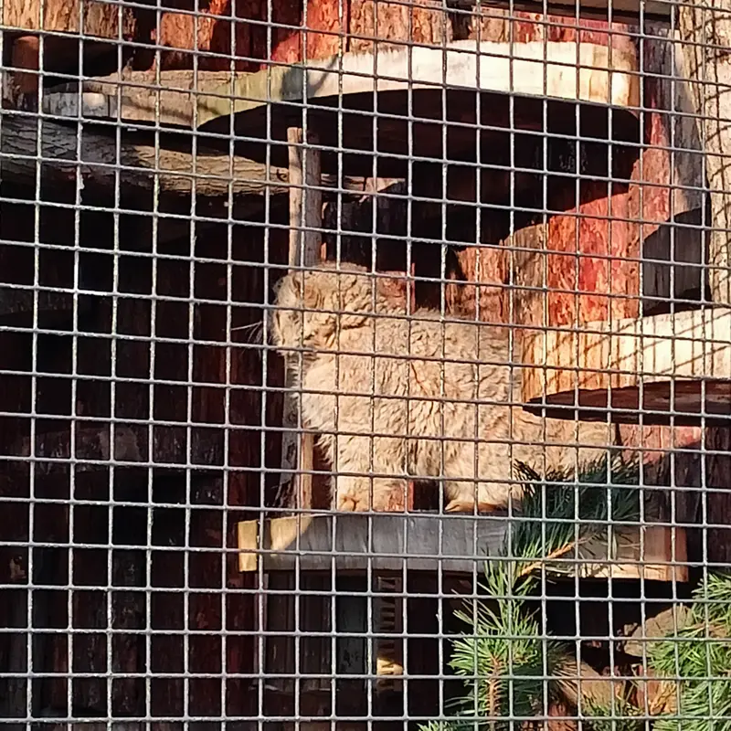 レニングラード動物園のスヴェンの写真