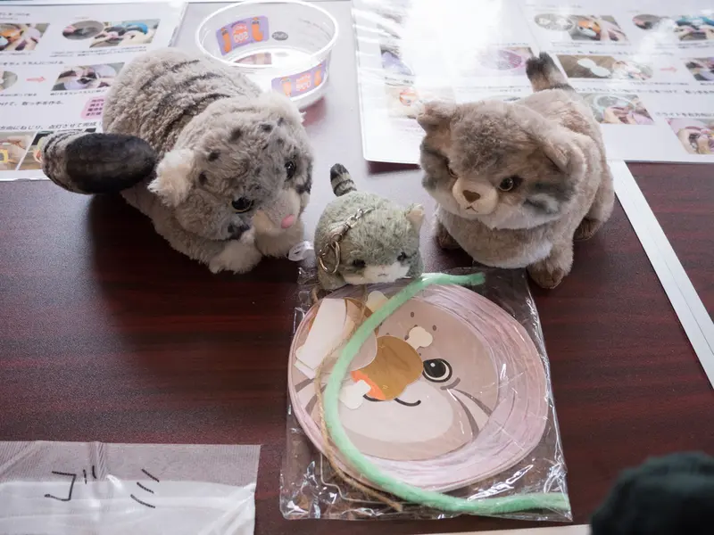 野毛山動物園のマヌルネコの写真