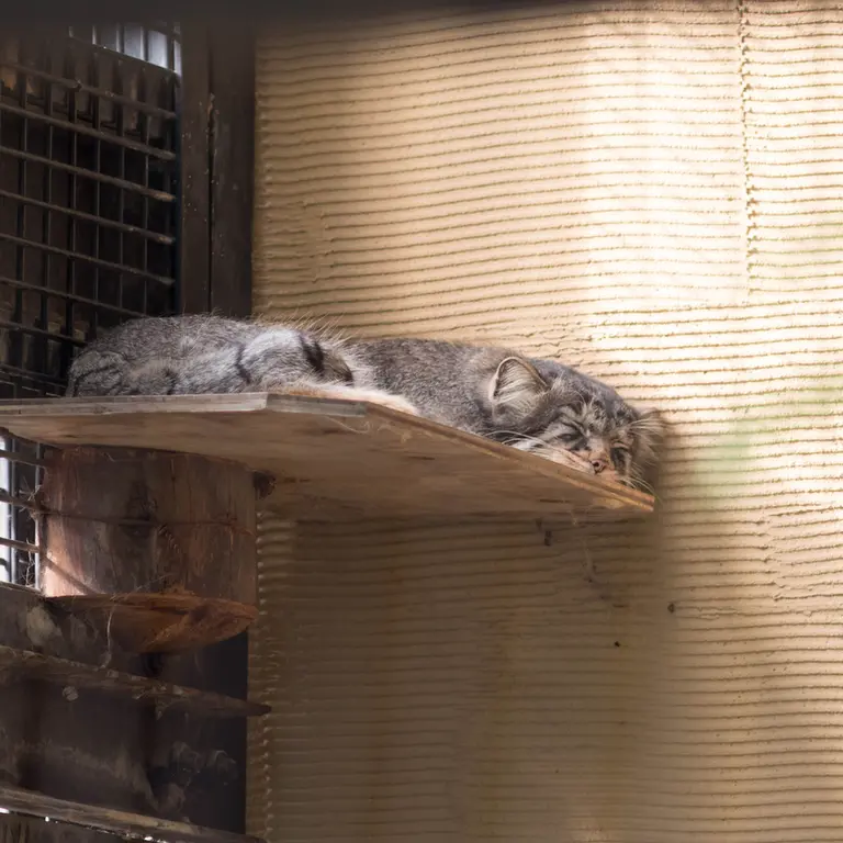 旭山動物園のヒデの写真