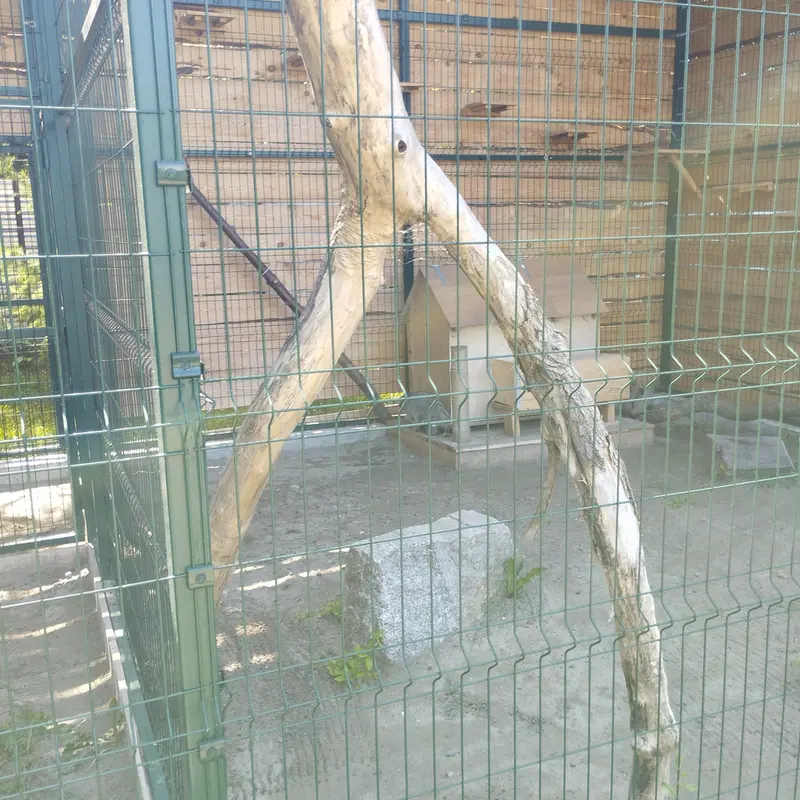 バルナウル動物園「レースナヤ・スカースカ」のチップの写真