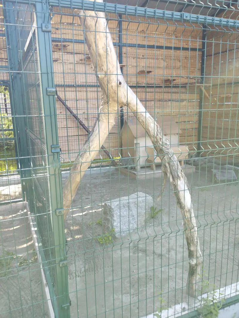 バルナウル動物園「レースナヤ・スカースカ」のチップの写真