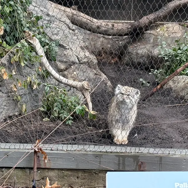 プロスペクト・パーク動物園のバトゥの写真