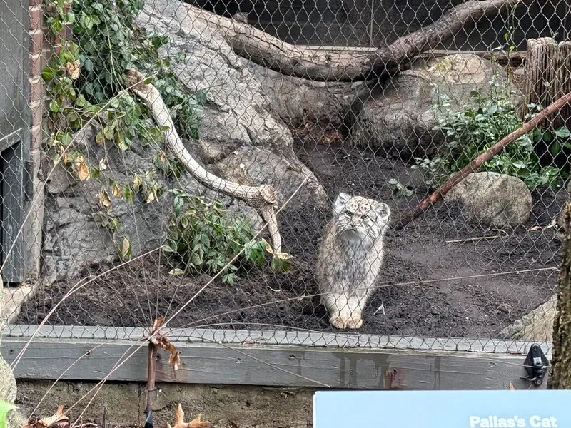 プロスペクト・パーク動物園のバトゥの写真