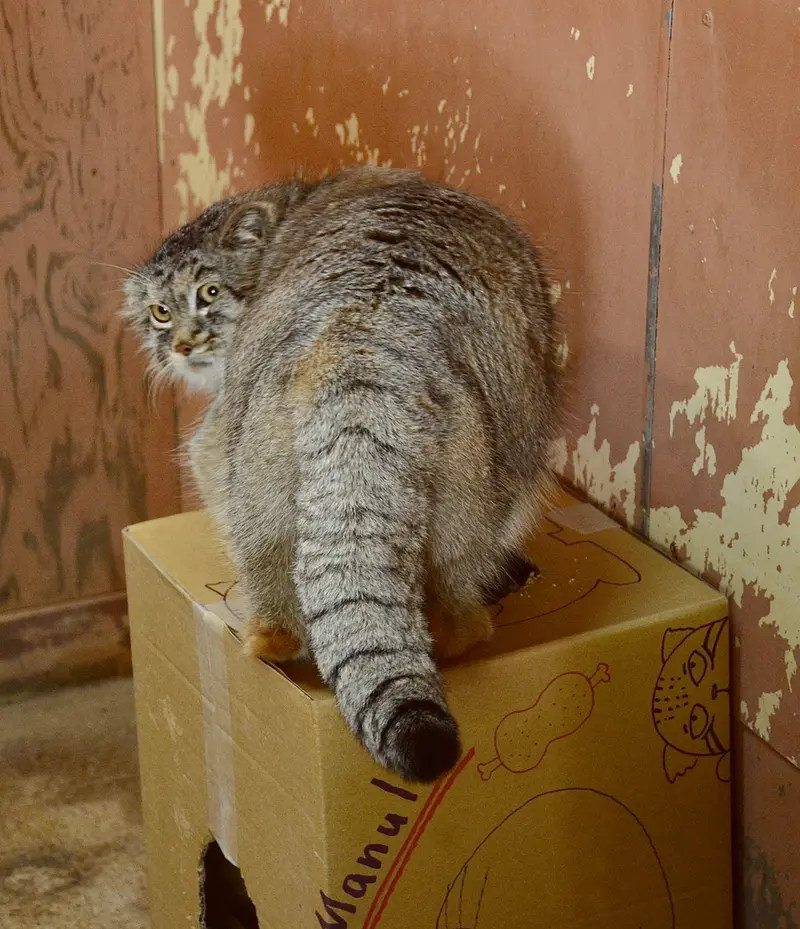 埼玉県こども動物自然公園のレフの写真