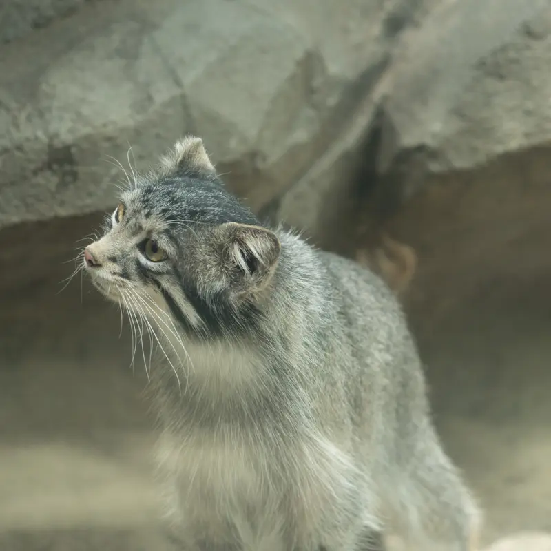 神戸どうぶつ王国のオトの写真