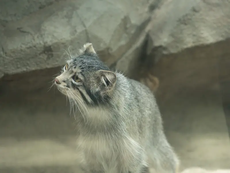 神戸どうぶつ王国のオトの写真