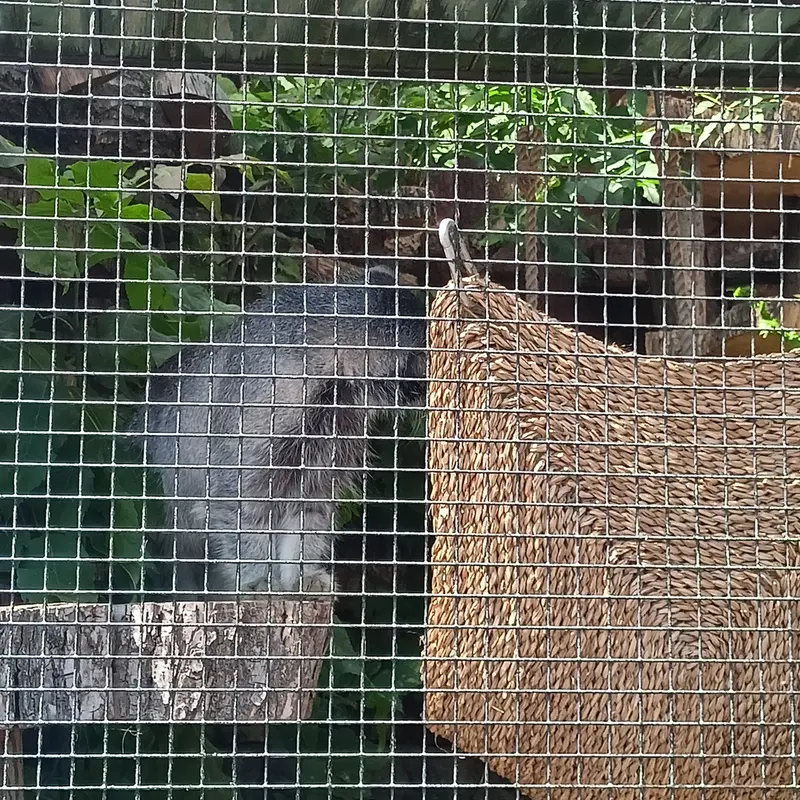 レニングラード動物園のシューの写真