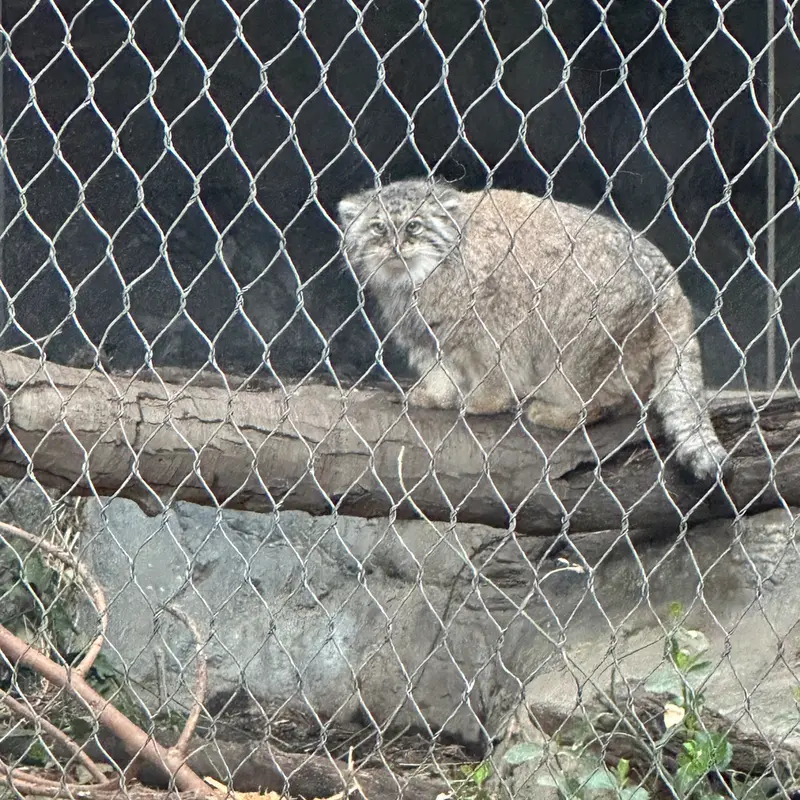 プロスペクト・パーク動物園のサルナイの写真