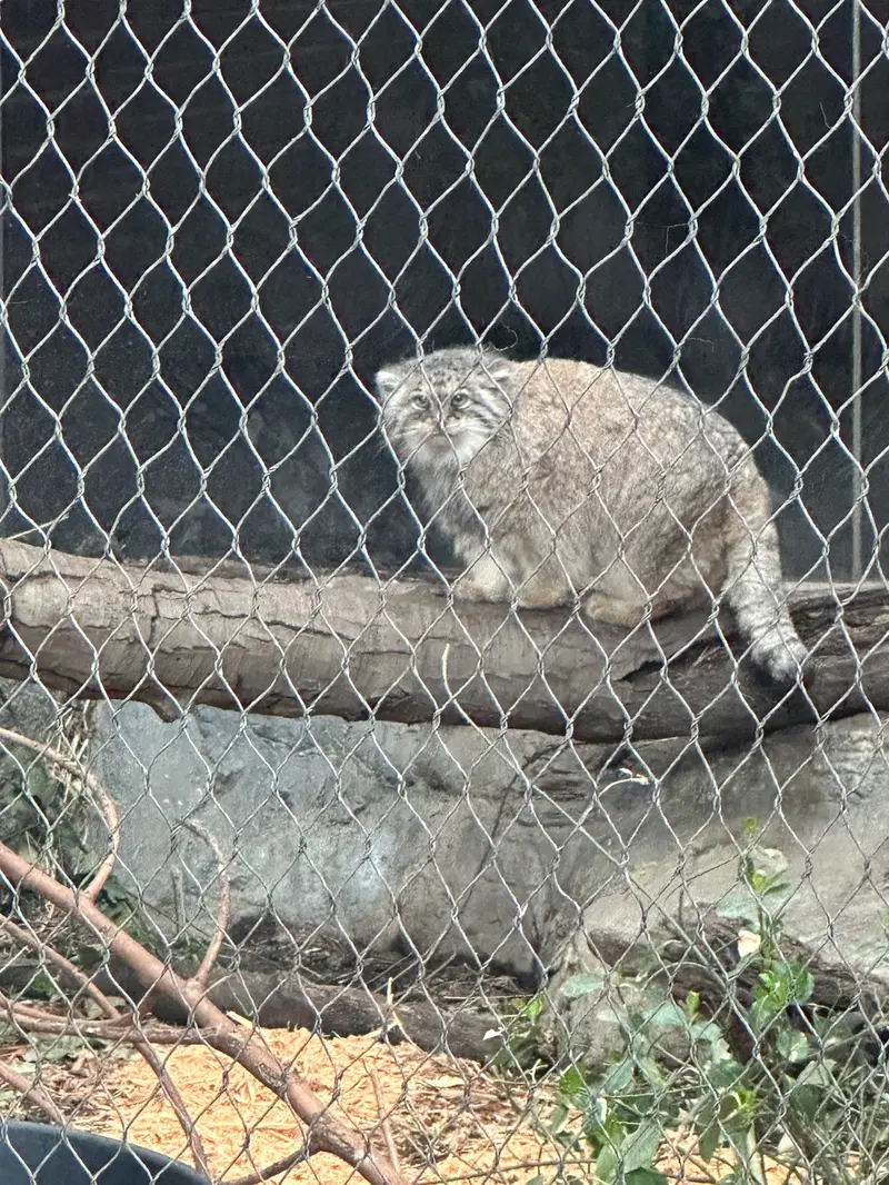 プロスペクト・パーク動物園のサルナイの写真