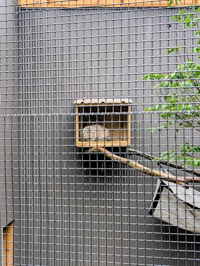 エルムウッド・パーク動物園のレザの写真