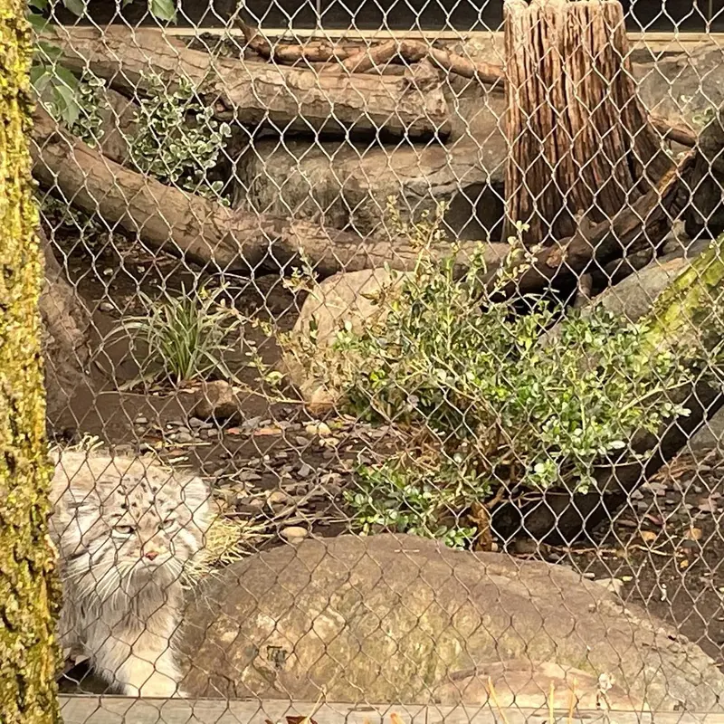 プロスペクト・パーク動物園のバトゥの写真