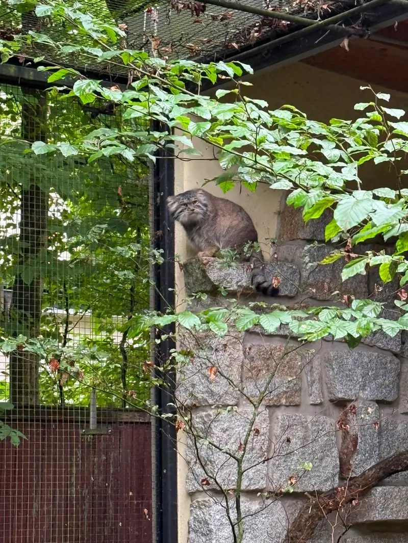 ケムニッツ動物園のボブの写真