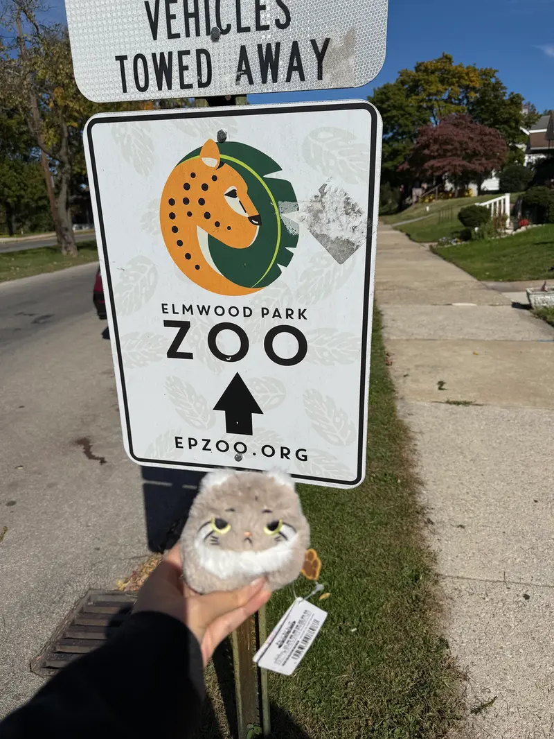 マヌルネコの写真