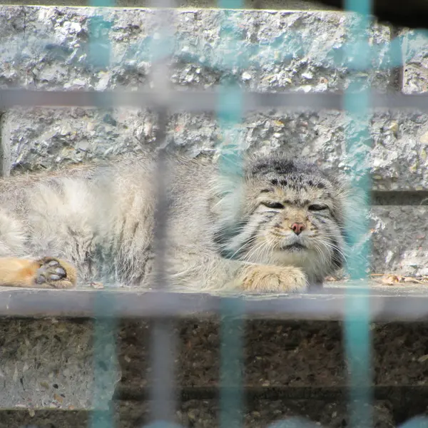 マクデブルク動物園のジョナサンの写真