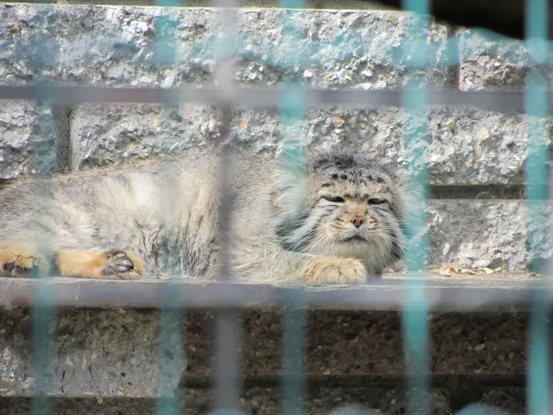 マクデブルク動物園のジョナサンの写真