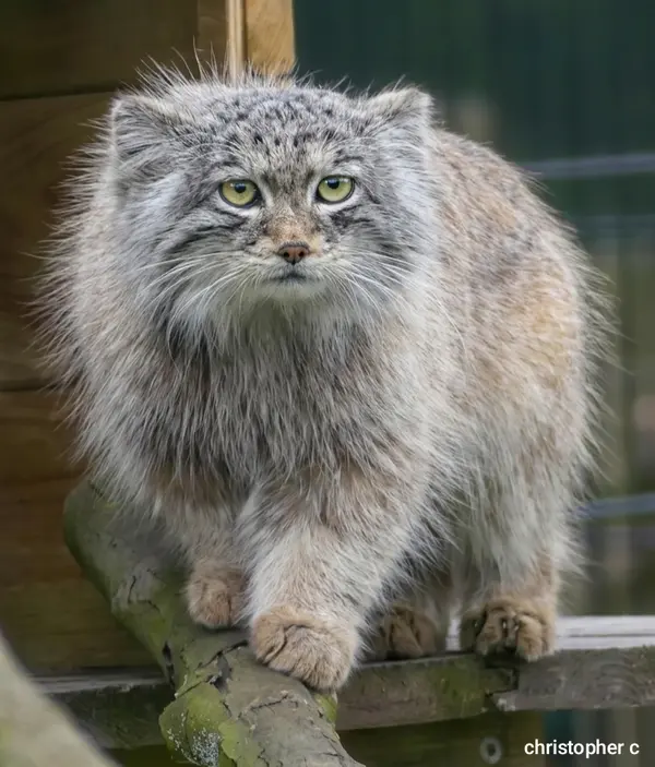 バイオ・トピア・ダンケルクのサランの写真