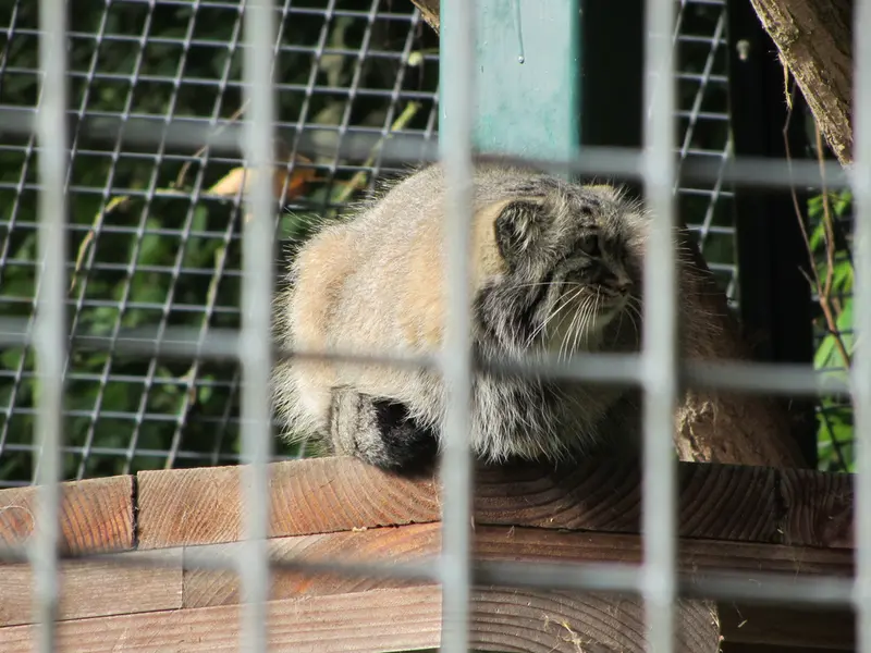 ザールブリュッケン動物園のカール・ハインツの写真