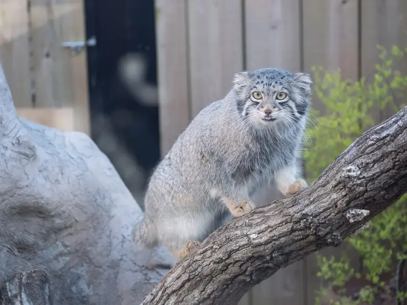 埼玉県こども動物自然公園のオトの写真