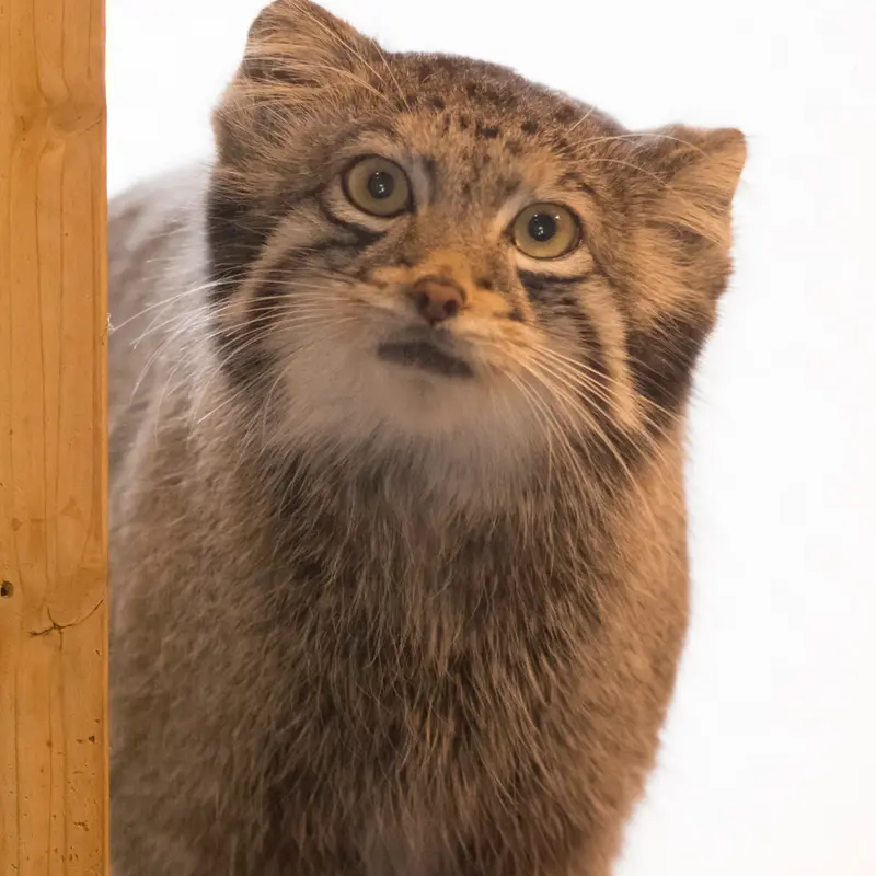 埼玉県こども動物自然公園のオトの写真