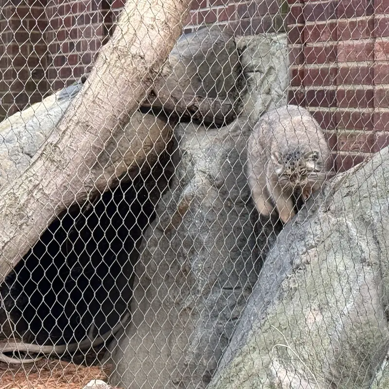 プロスペクト・パーク動物園のサルナイの写真