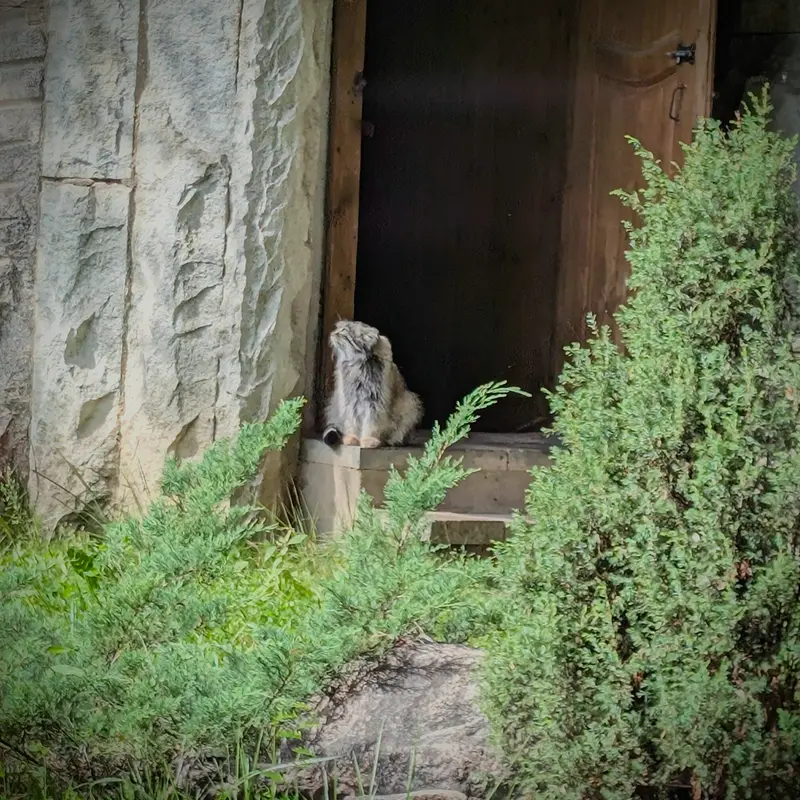 モスクワ動物園のティモフェイの写真
