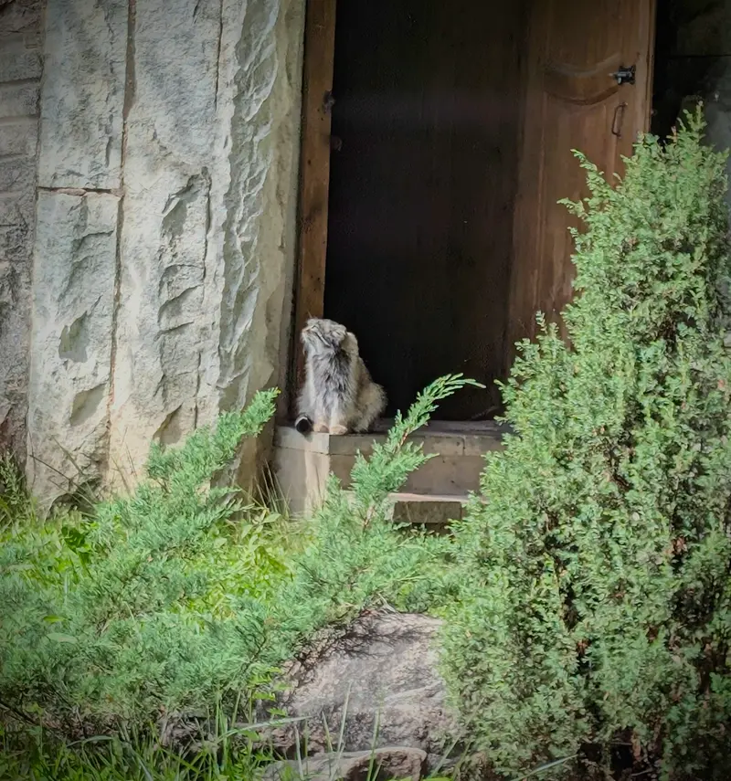 モスクワ動物園のティモフェイの写真