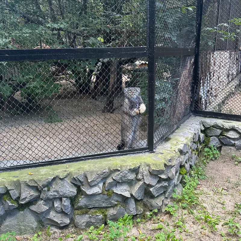 ノヴォシビルスク動物園のゾーシャの写真