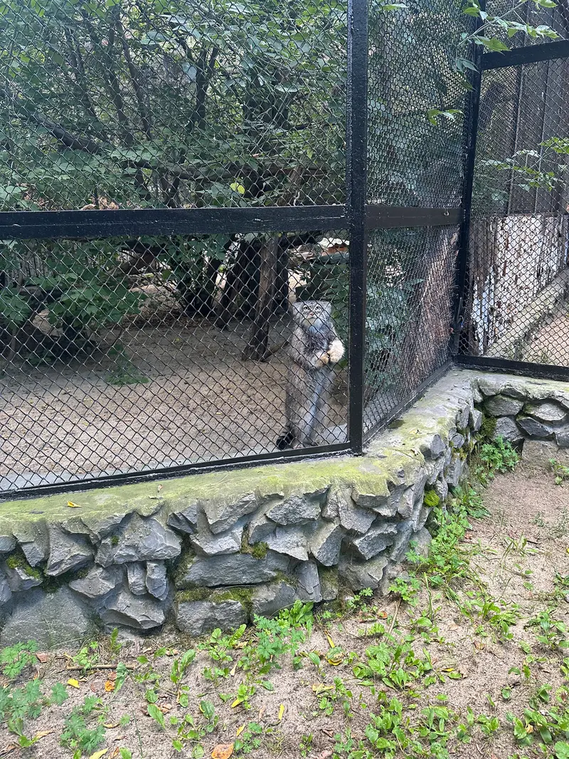 ノヴォシビルスク動物園のゾーシャの写真