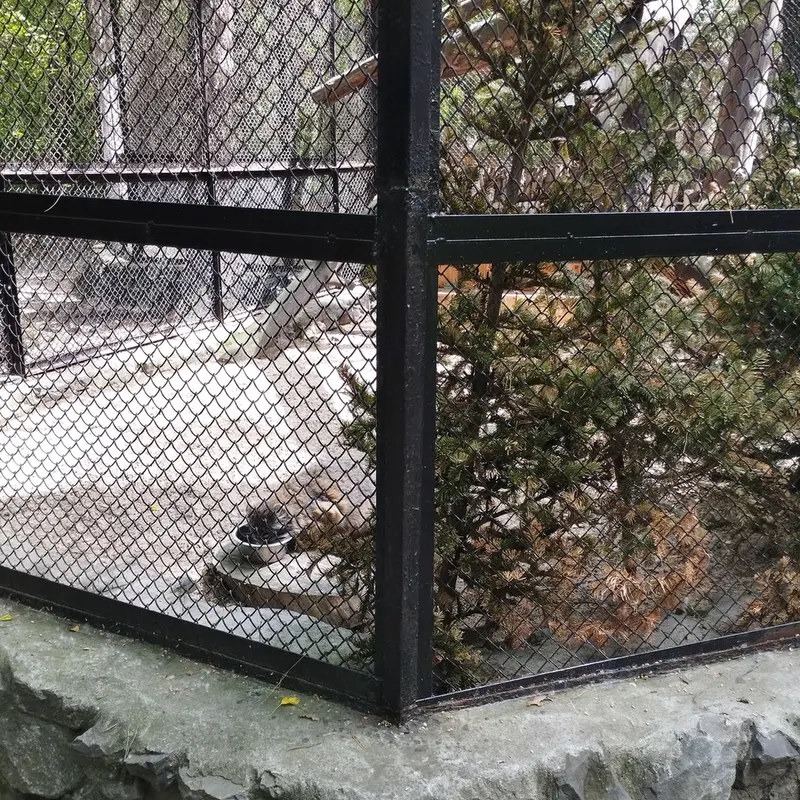 ノヴォシビルスク動物園のゼレノゴルスクの写真