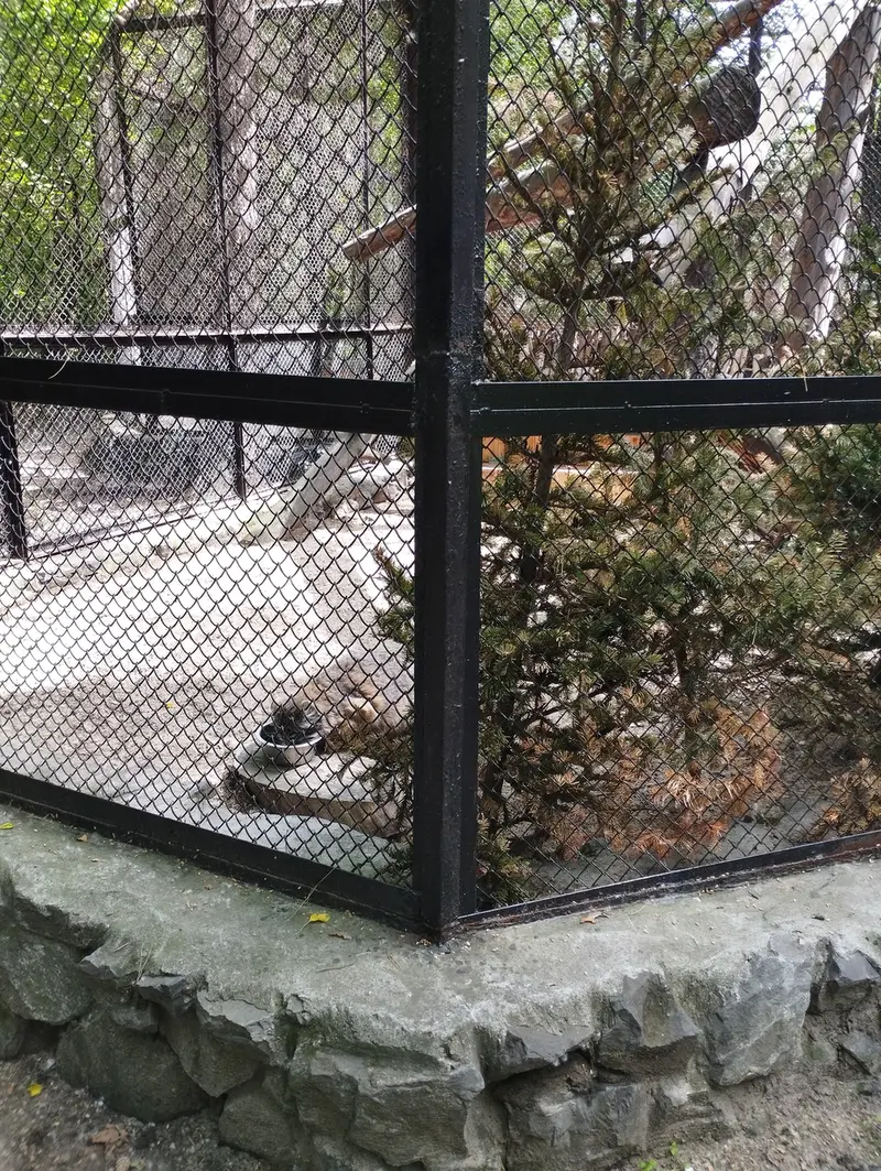 ノヴォシビルスク動物園のゼレノゴルスクの写真