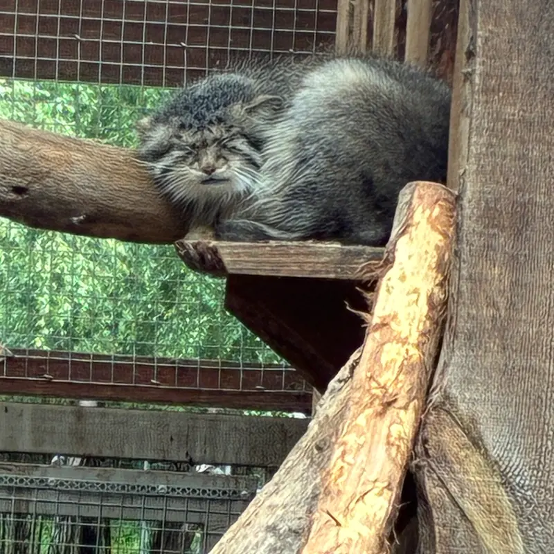 タリン動物園のアルタニの写真