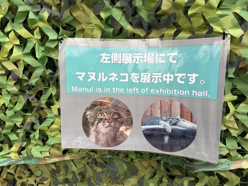 神戸どうぶつ王国のナルの写真