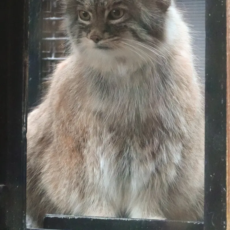 埼玉県こども動物自然公園のオリーヴァの写真