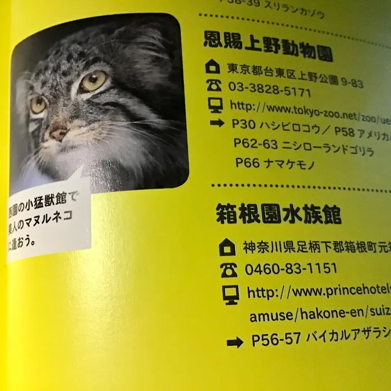 恩賜上野動物園のララーの写真