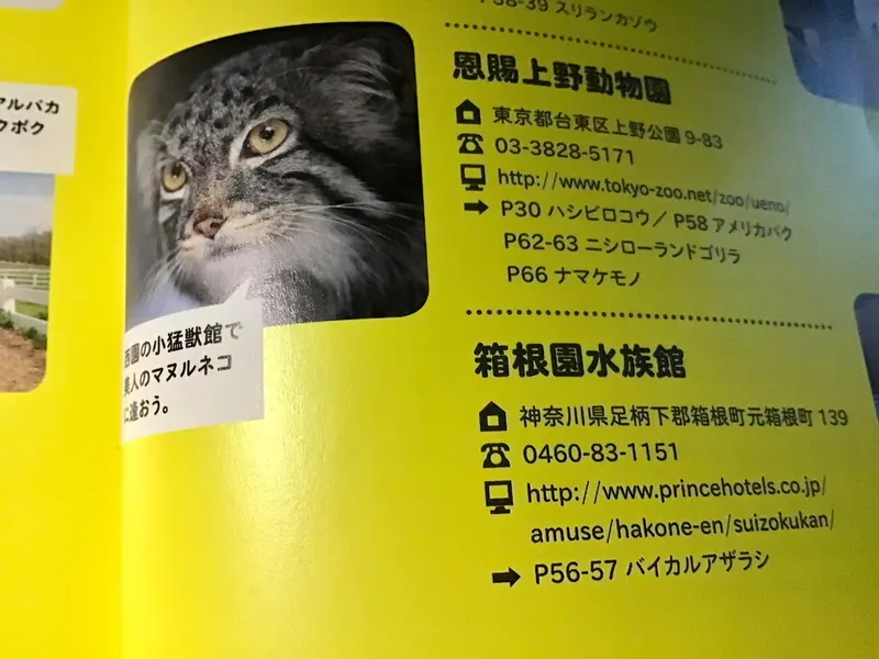 恩賜上野動物園のララーの写真