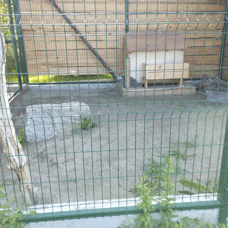 バルナウル動物園「レースナヤ・スカースカ」のチップの写真