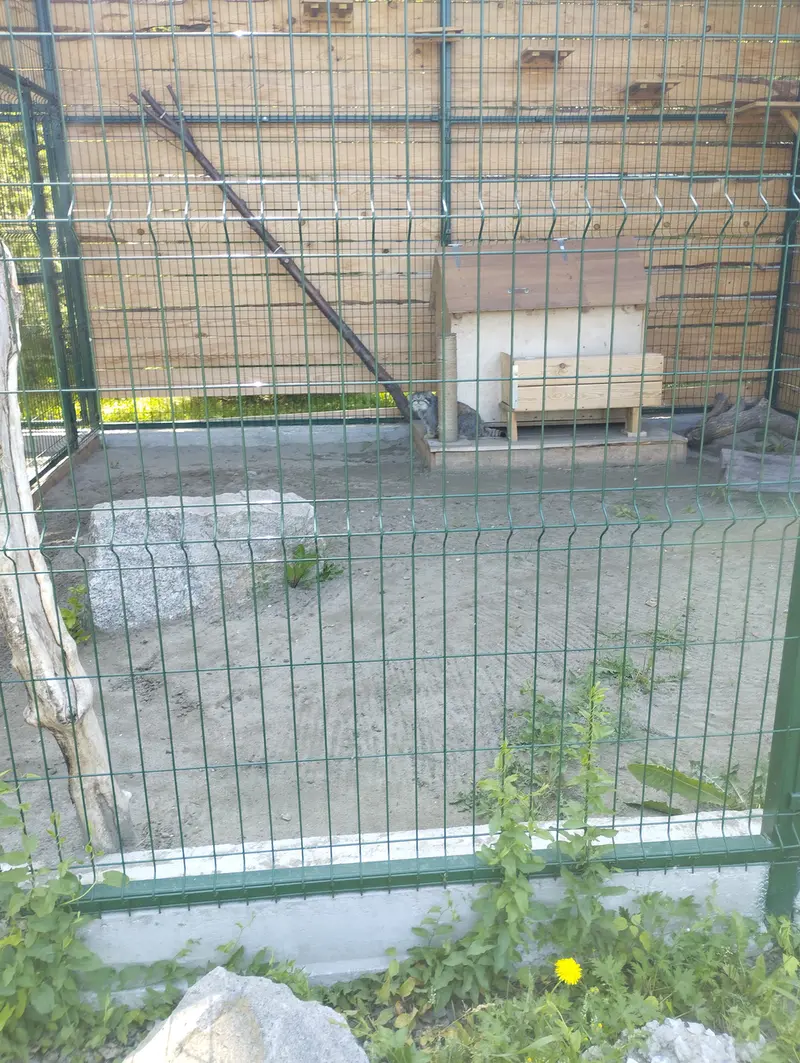 バルナウル動物園「レースナヤ・スカースカ」のチップの写真