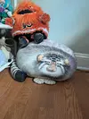 マヌルネコの写真