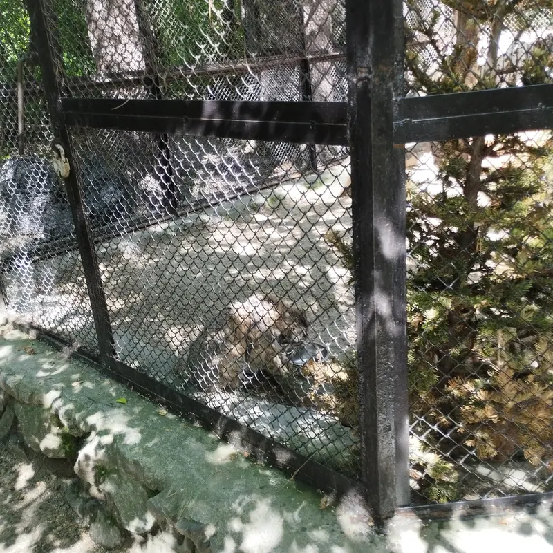 ノヴォシビルスク動物園のゼレノゴルスクの写真