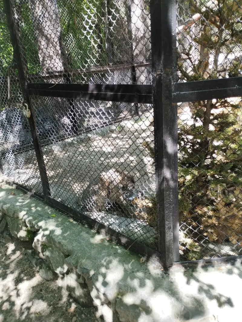 ノヴォシビルスク動物園のゼレノゴルスクの写真